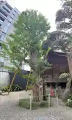 廣尾稲荷神社(東京都)