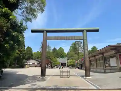 射水神社の鳥居
