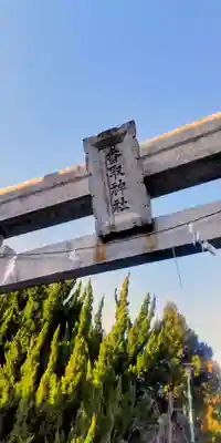 上千葉香取神社(東京都)