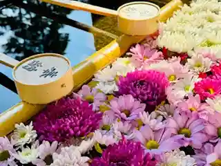 土津神社|こどもと出世の神さま(福島県)