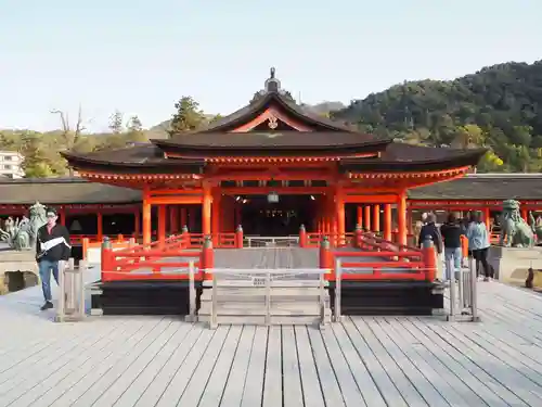 厳島神社の本殿