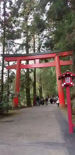 箱根神社の鳥居