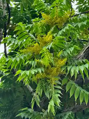東寺（教王護国寺）(京都府)