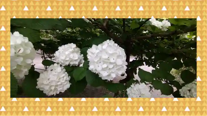 冠稲荷神社(群馬県)