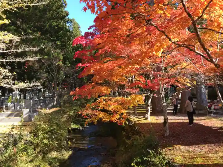 高野山金剛峯寺奥の院の自然