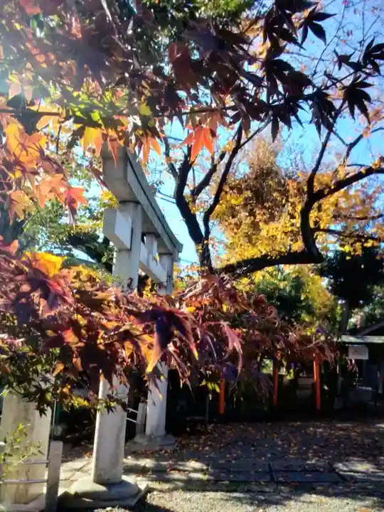 本郷氷川神社(東京都)