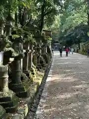 春日大社(奈良県)