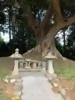 香取神社(千葉県)