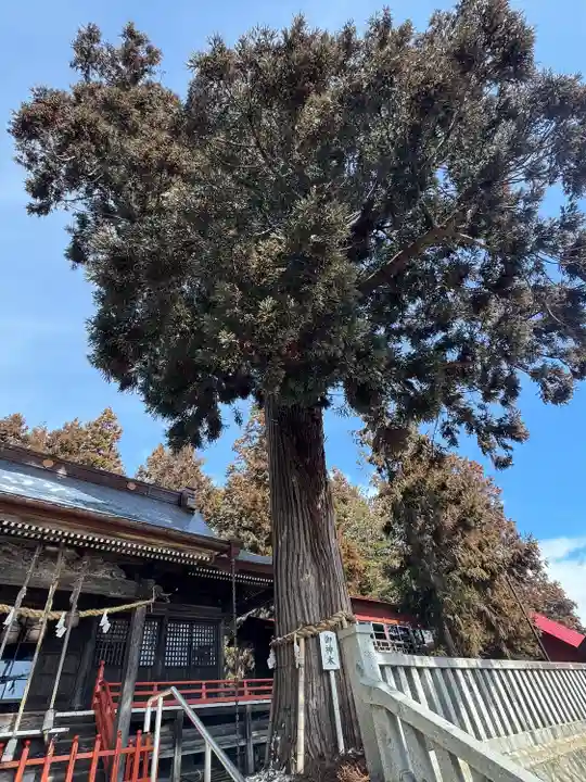 鼬幣稲荷神社(岩手県)