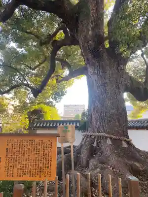 大聖観音寺（あびこ観音）(大阪府)