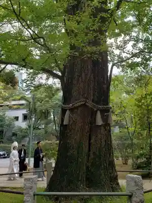 赤坂氷川神社(東京都)