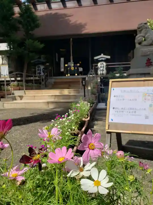高円寺氷川神社(東京都)