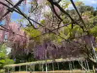 大生郷天満宮(茨城県)