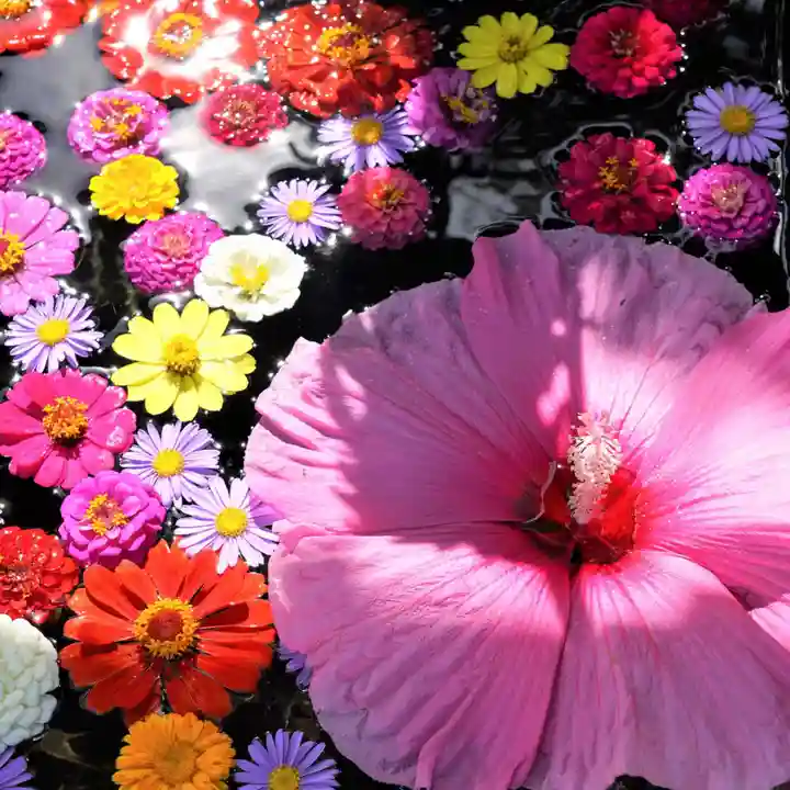 大鏑神社の手水舎