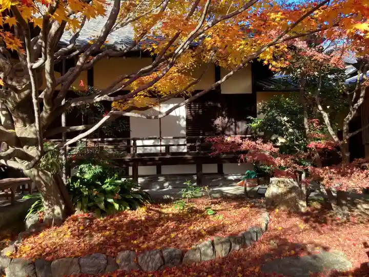 勝林寺(京都府)