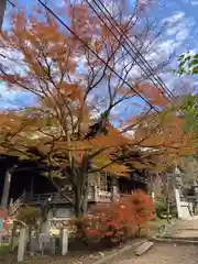 施福寺(大阪府)