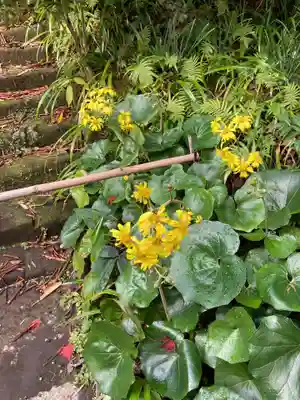 浄光明寺(神奈川県)