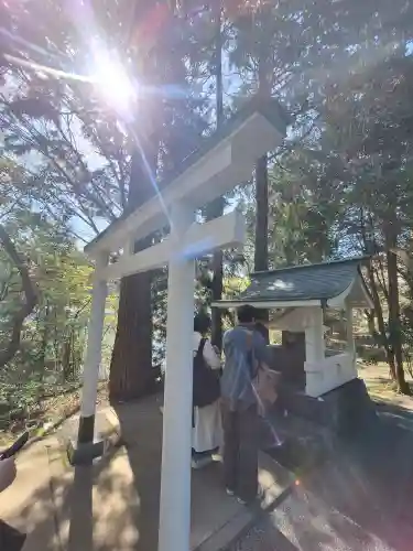 白龍神社の{uncategorized: "未分類", other: "その他", undefined: "問題あり", building: "その他建物", grave: "お墓", sacred_gate: "鳥居", guardian: "狛犬", statue: "像", buddha: "仏像", history: "歴史", nature: "自然", garden: "庭園", animal: "動物", pagoda: "塔", temizu: "手水舎", mountain_gate: "山門・神門", sanctuary: "本殿・本堂", subordinate: "末社・摂社", art: "芸術", scenery: "景色", jizo: "地蔵", ema: "絵馬", goshuin: "御朱印", omikuji: "おみくじ", items: "授与品その他", amulet: "お守り", goshuincho: "御朱印帳", eats: "食事", festival: "お祭り", votive_dance: "神楽", shichigosan: "七五三参", wedding: "結婚式", experience: "体験その他", initially: "初詣", around: "周辺", anti_infection: "感染症対策"}