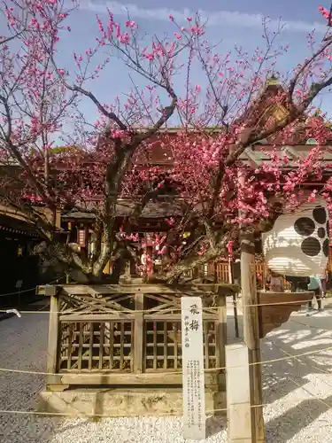 北野天満宮の庭園