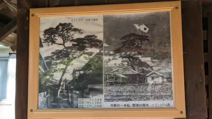 平野の一本松と地蔵堂(十王堂跡)(兵庫県)