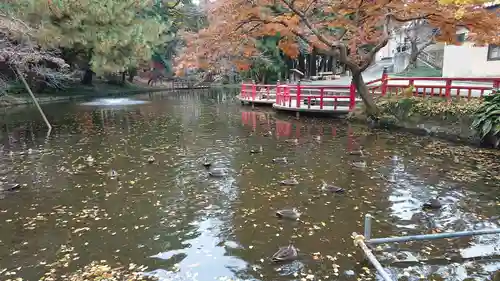 間々田八幡宮の庭園