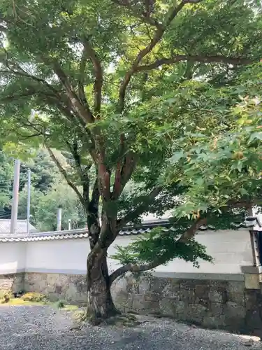 地蔵院の山門