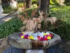 伊和志津神社の手水