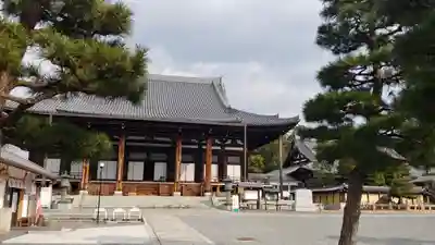 くろ谷 金戒光明寺の本殿・本堂