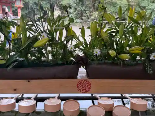 武蔵一宮氷川神社(埼玉県)