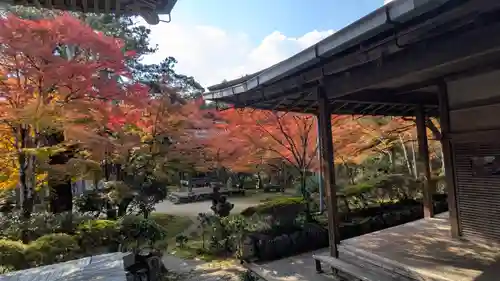 西明寺(京都府)