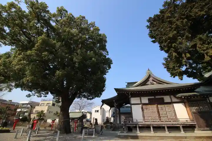 八幡神社の本殿・本堂