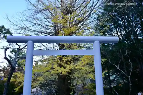 安房神社の鳥居