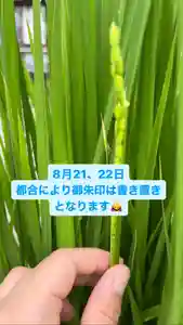 大鏑神社(福島県) 2023年08月21日(月)〜(2023年08月21日(月) 08時19分20秒投稿)