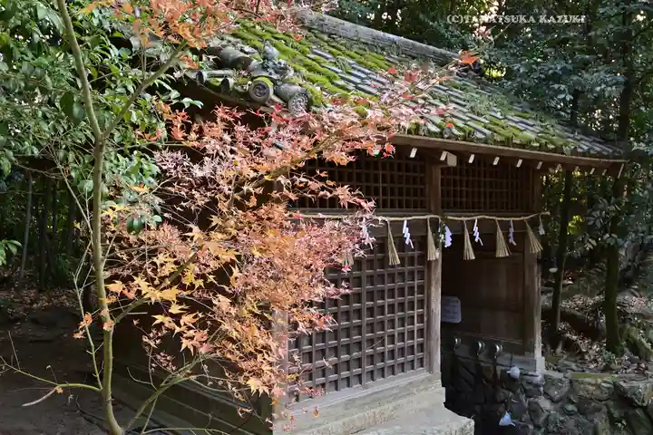 宇治上神社(京都府)