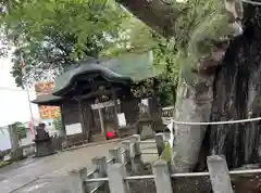 阿邪訶根神社(福島県)