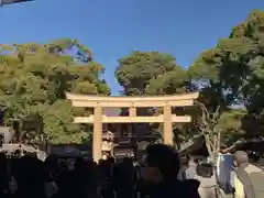 明治神宮の鳥居