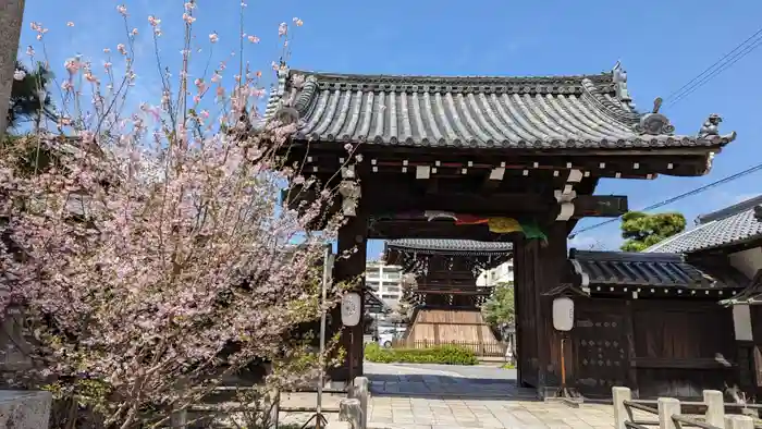 妙蓮寺の山門