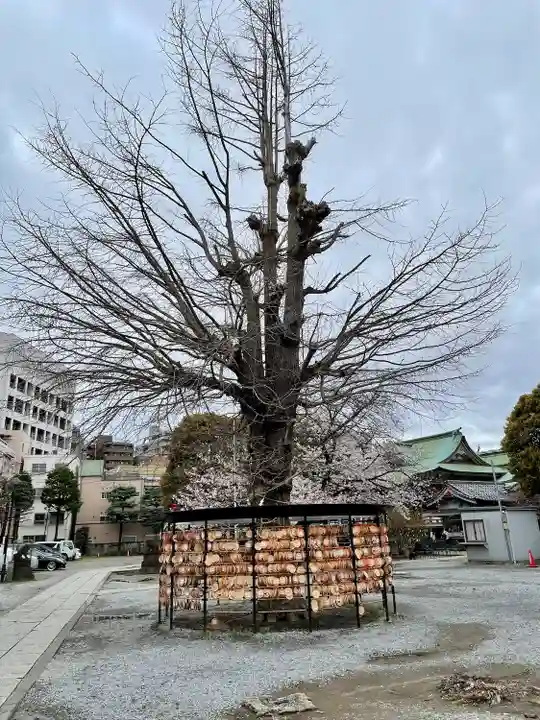 今戸神社(東京都)
