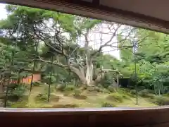 宝泉院の庭園