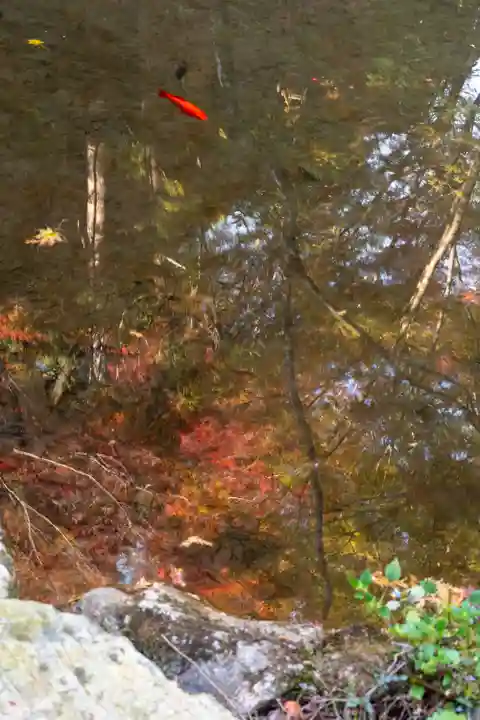 大矢田神社(岐阜県)