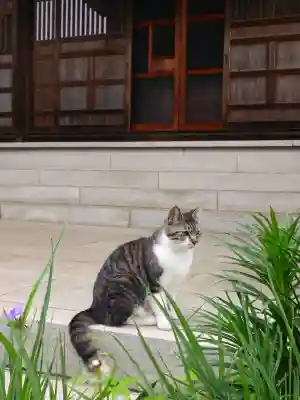 西光寺(埼玉県)