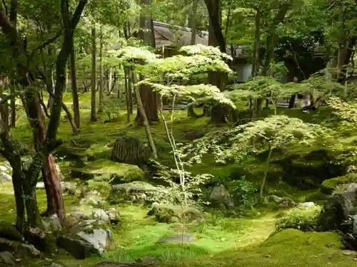 西芳寺の庭園