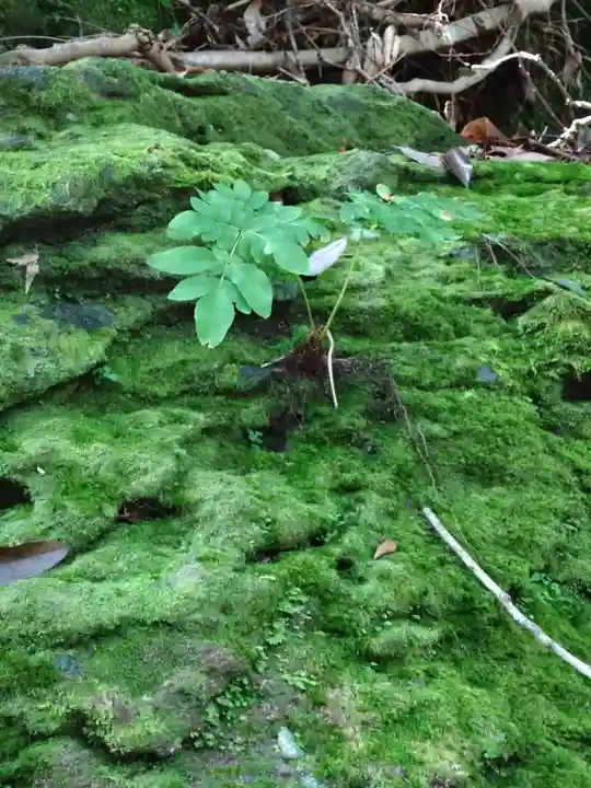 天安河原宮(宮崎県)