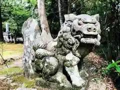 村所八幡神社の狛犬