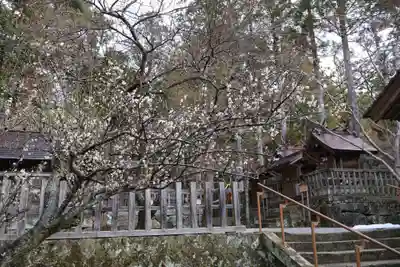 出雲大社(島根県)