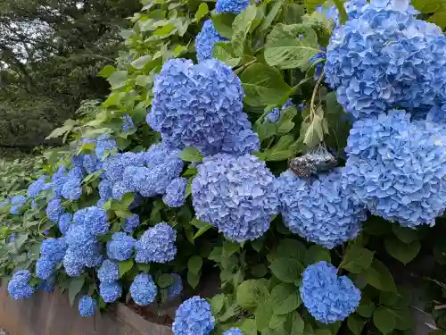 養源寺(東京都)