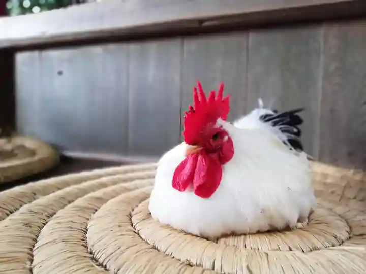 石上神宮の動物