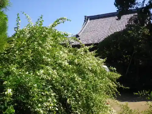 宝戒寺のその他建物
