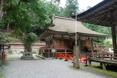 日吉大社の本殿・本堂