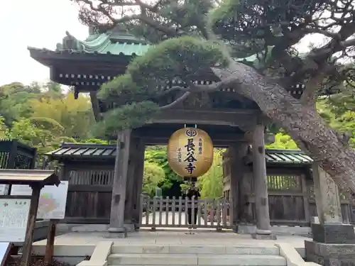長谷寺の山門・神門